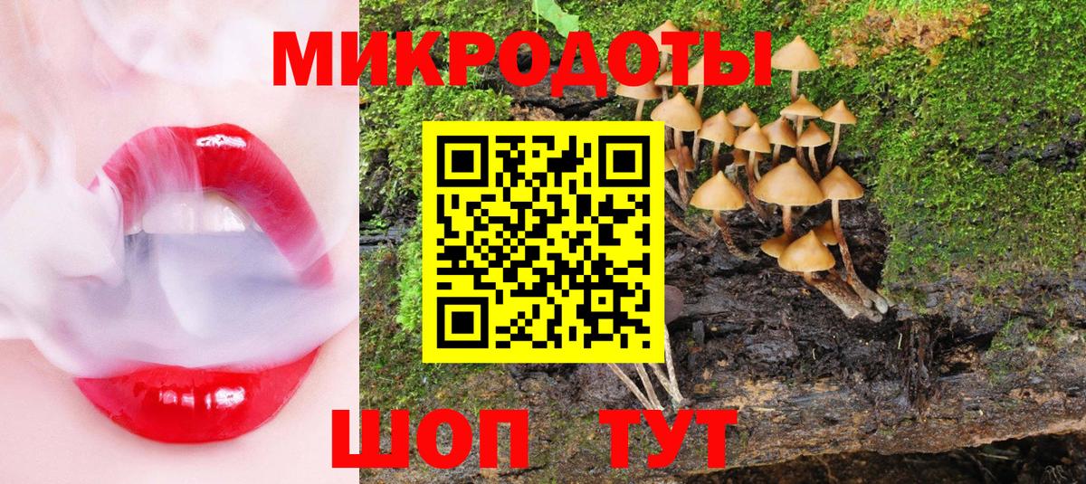 Псилоцибиновые грибы прущие грибы Краснодар