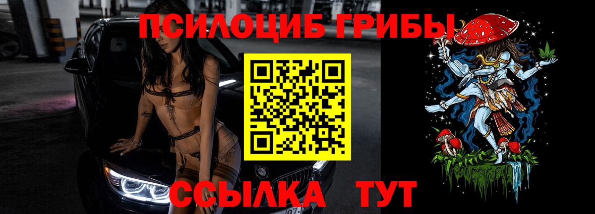 Псилоцибиновые грибы Psilocybine cubensis  Вход с VPN  Краснодар 